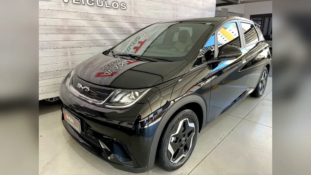Foto de um byd dolphin