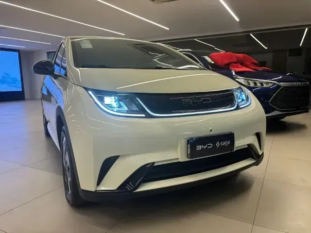 Foto de um byd dolphin