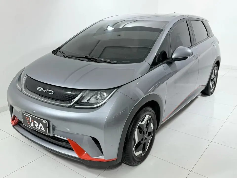 Foto de um byd dolphin