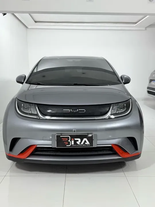 Foto de um byd dolphin