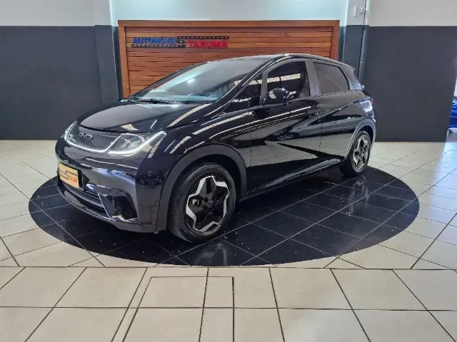Foto de um byd dolphin