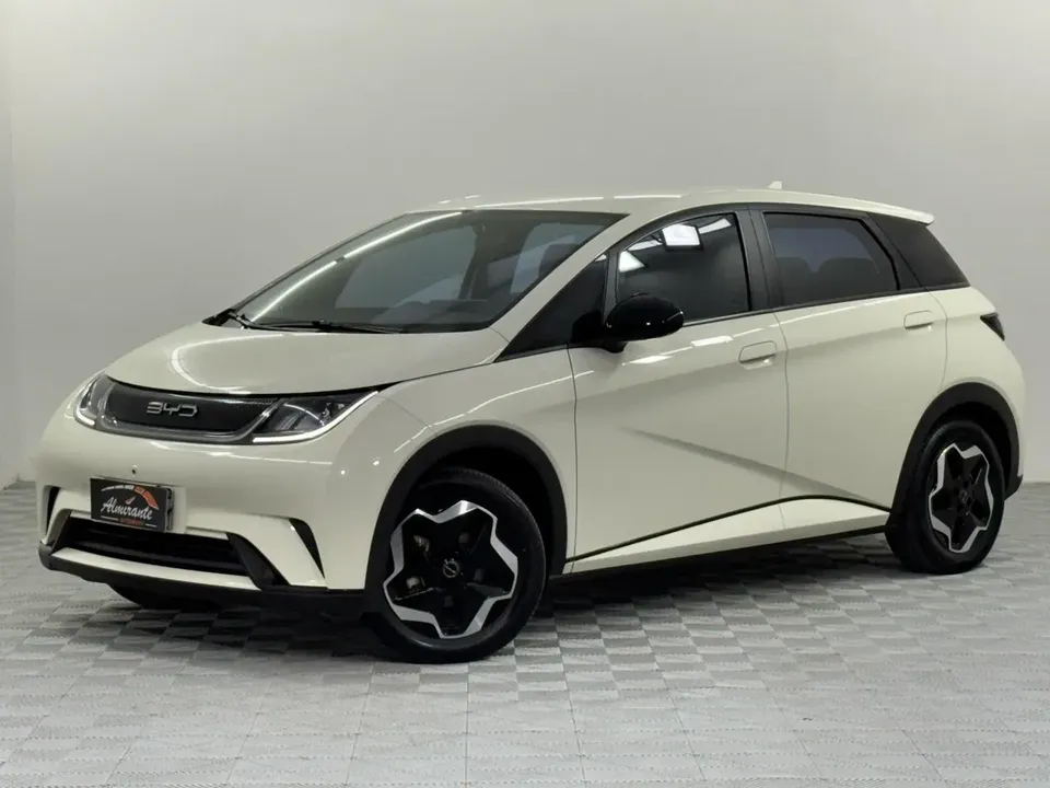 Foto de um byd dolphin