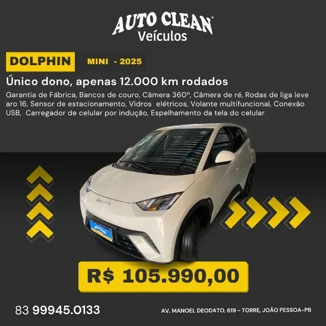 Foto de um byd dolphin mini