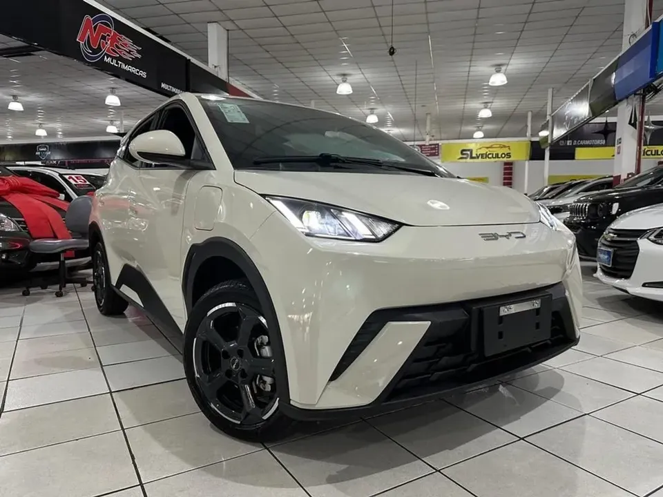 Foto de um byd dolphin mini