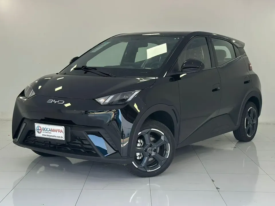 Foto de um byd dolphin