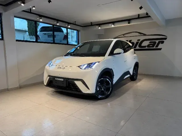 Foto de um byd dolphin mini