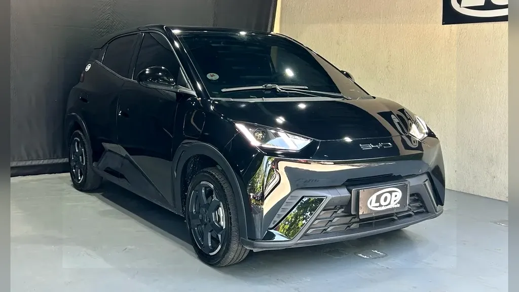 BYD Dolphin