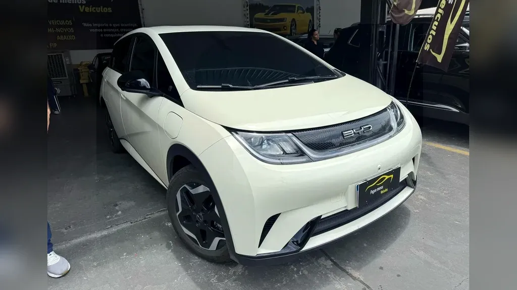 Foto de um byd dolphin