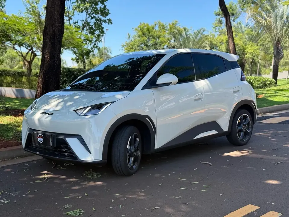 Foto de um byd dolphin