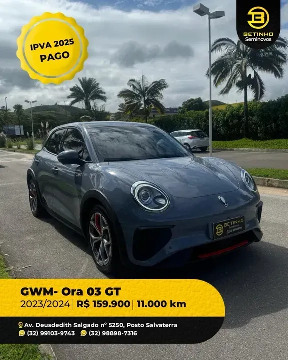 Foto de um gwm ora