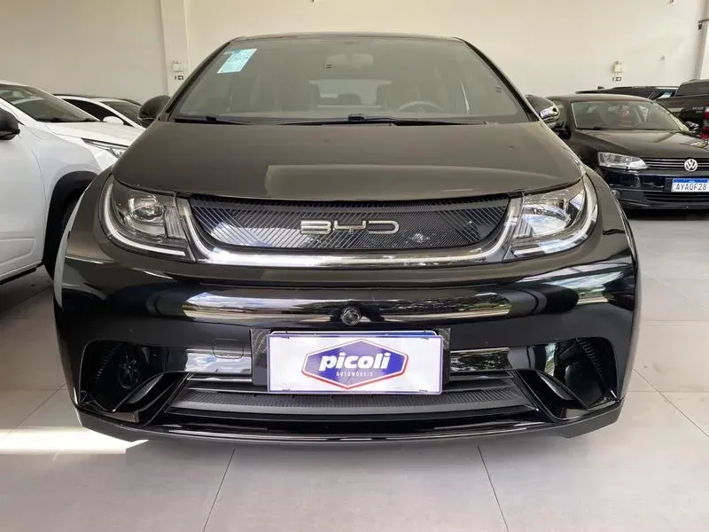 Foto de um byd dolphin