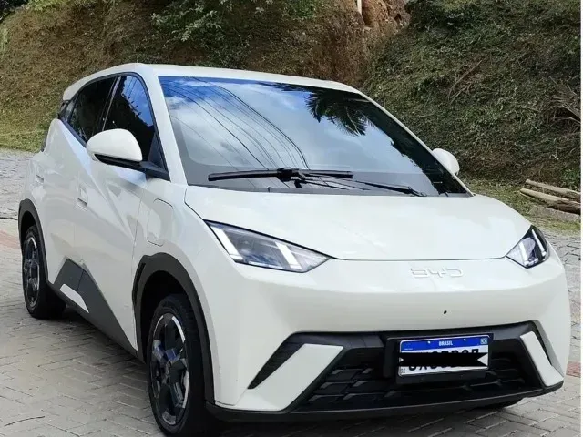 Foto de um byd dolphin