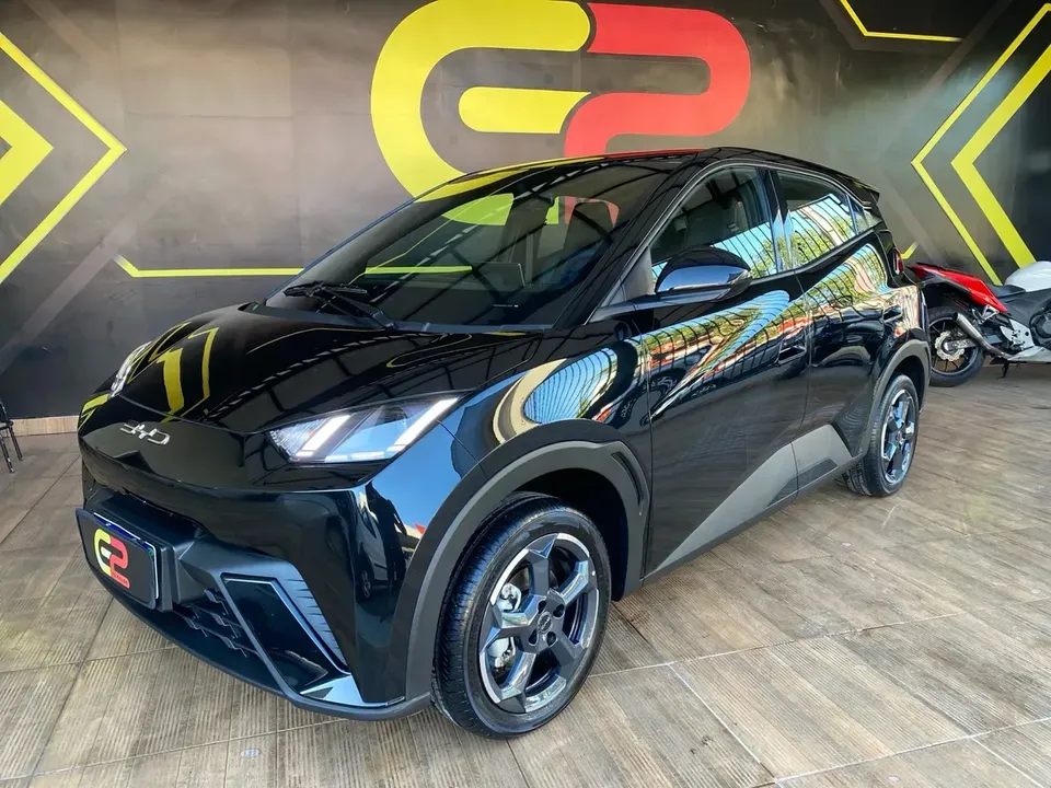 Foto de um byd dolphin mini