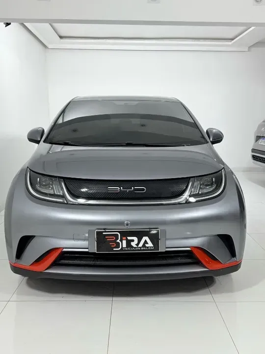 Foto de um byd dolphin