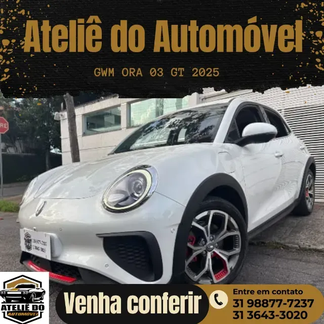 Foto de um gwm ora
