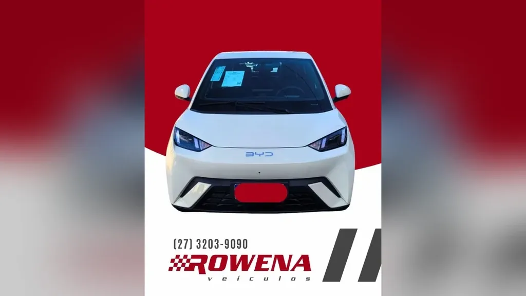 BYD Dolphin Plus
