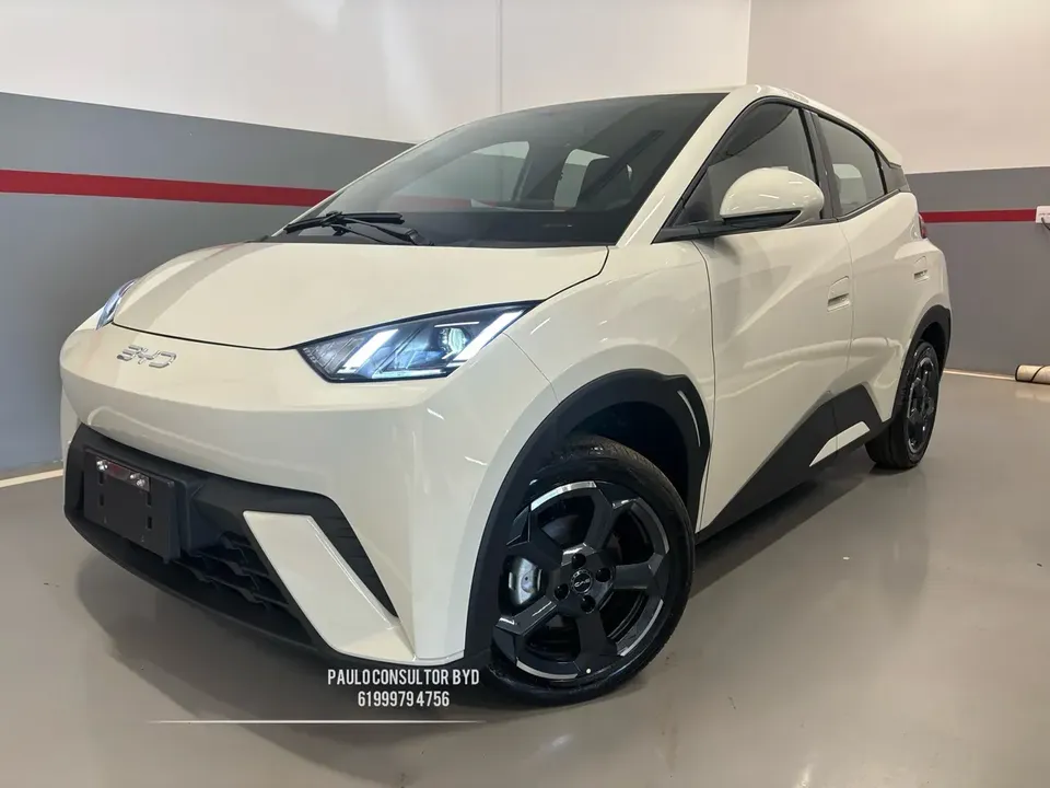 BYD Dolphin Plus