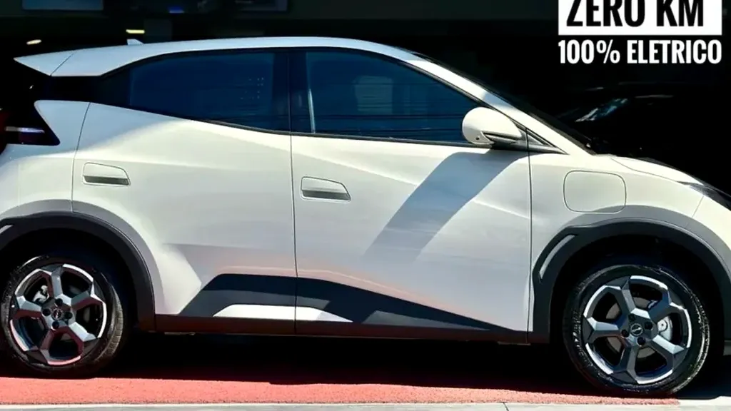 BYD Dolphin Plus