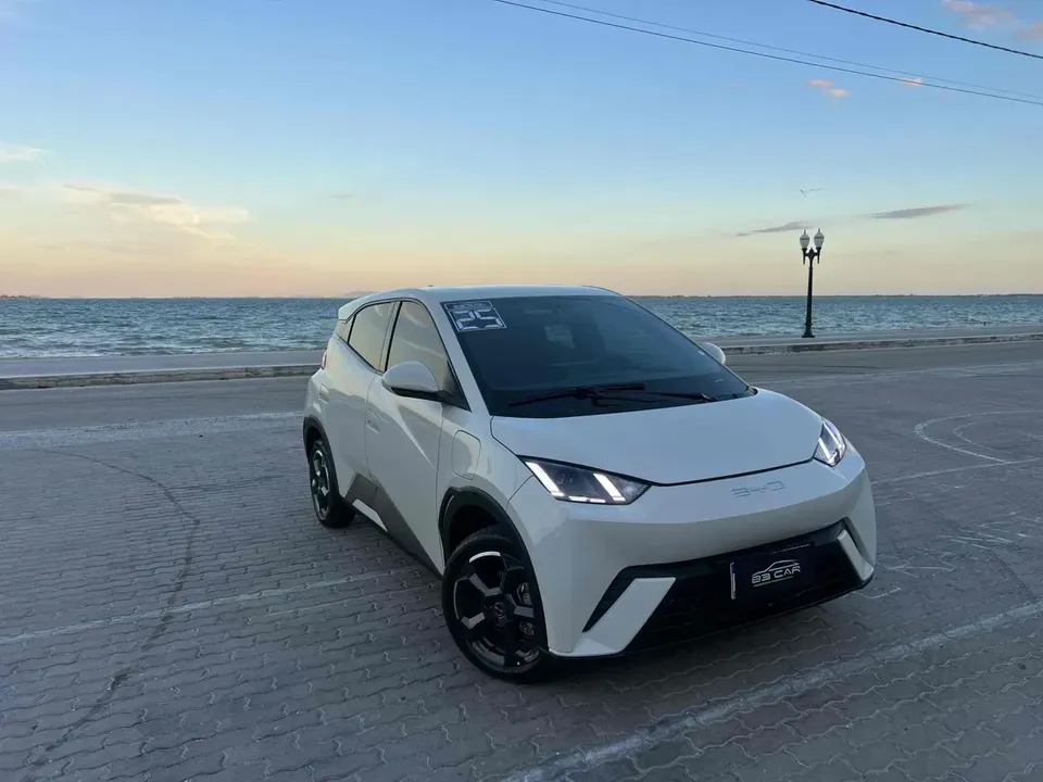 Foto de um byd dolphin plus