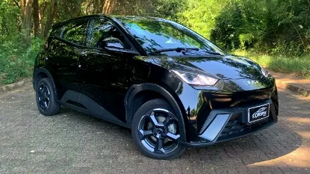 Foto de um byd dolphin plus