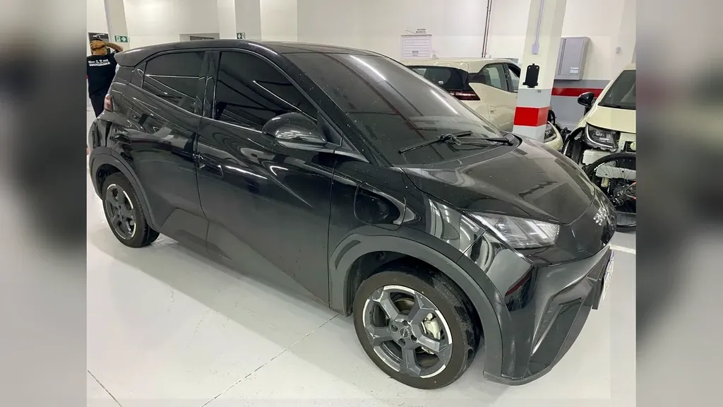 Foto de um byd dolphin plus
