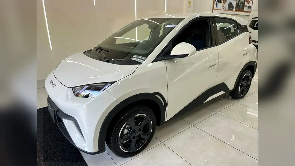 BYD Dolphin Plus