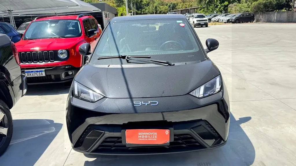 BYD Dolphin Plus