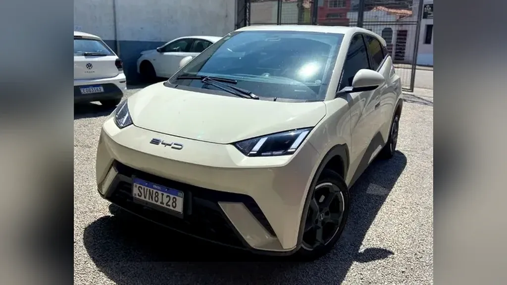 Foto de um byd dolphin