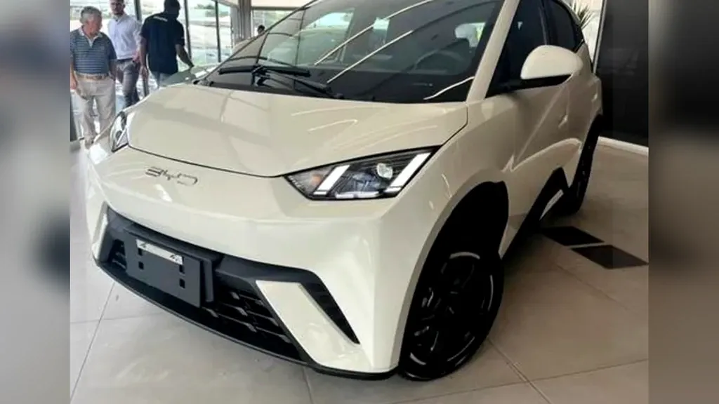 Foto de um byd dolphin plus