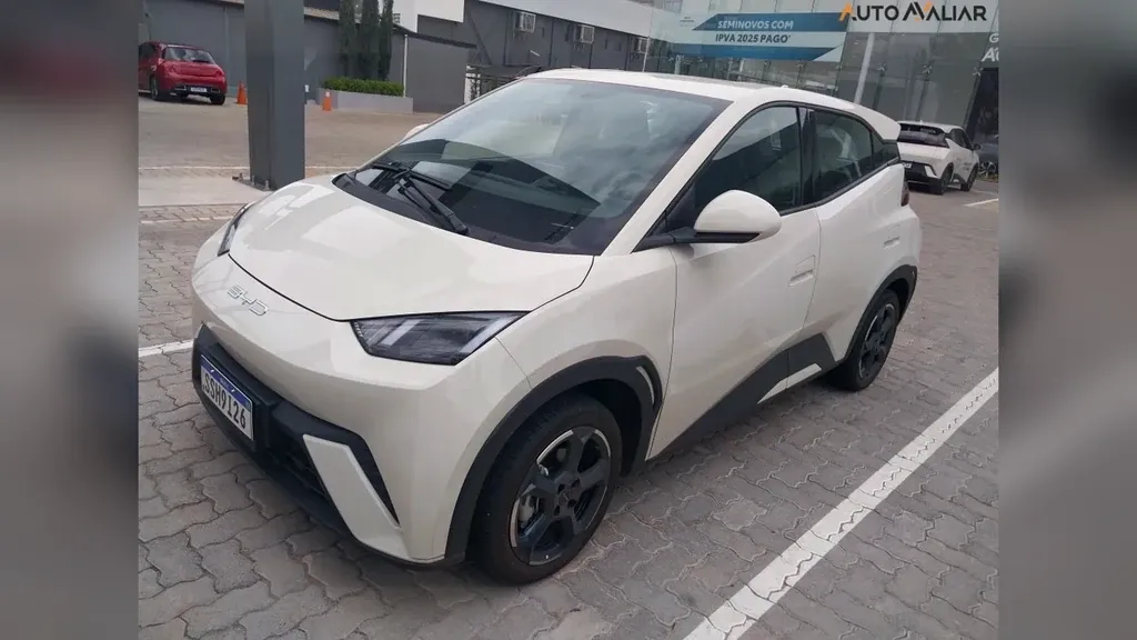 BYD Dolphin