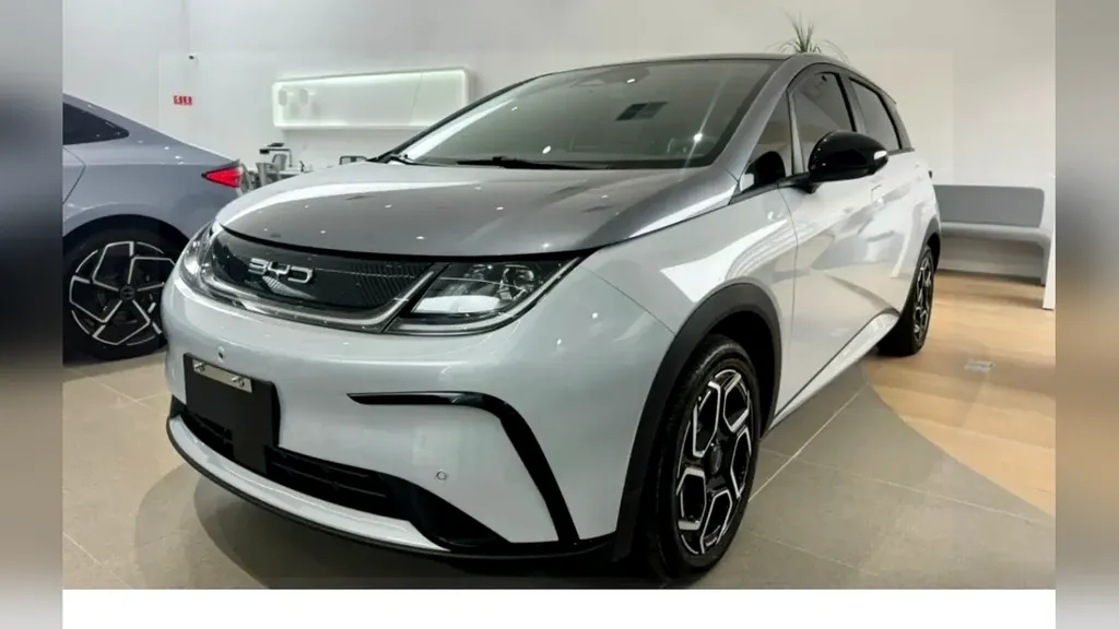 Foto de um byd dolphin plus