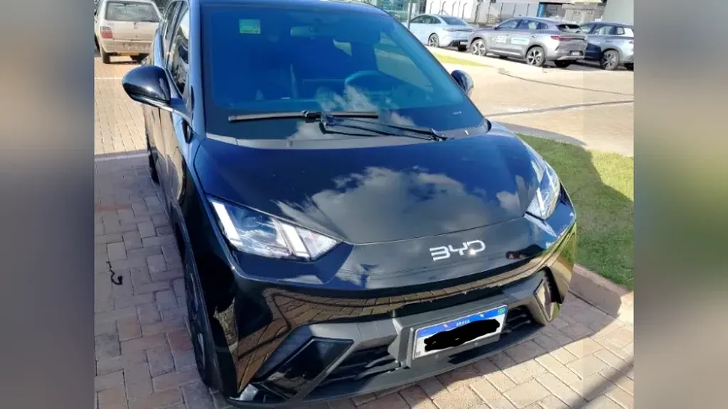BYD Dolphin
