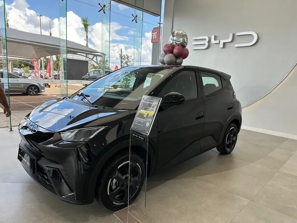Foto de um byd dolphin