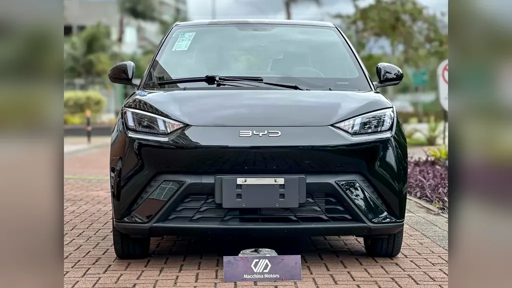 BYD Dolphin