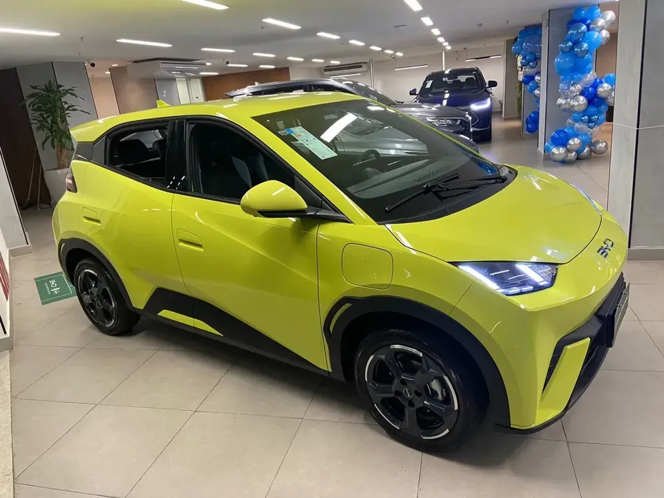Foto de um byd dolphin