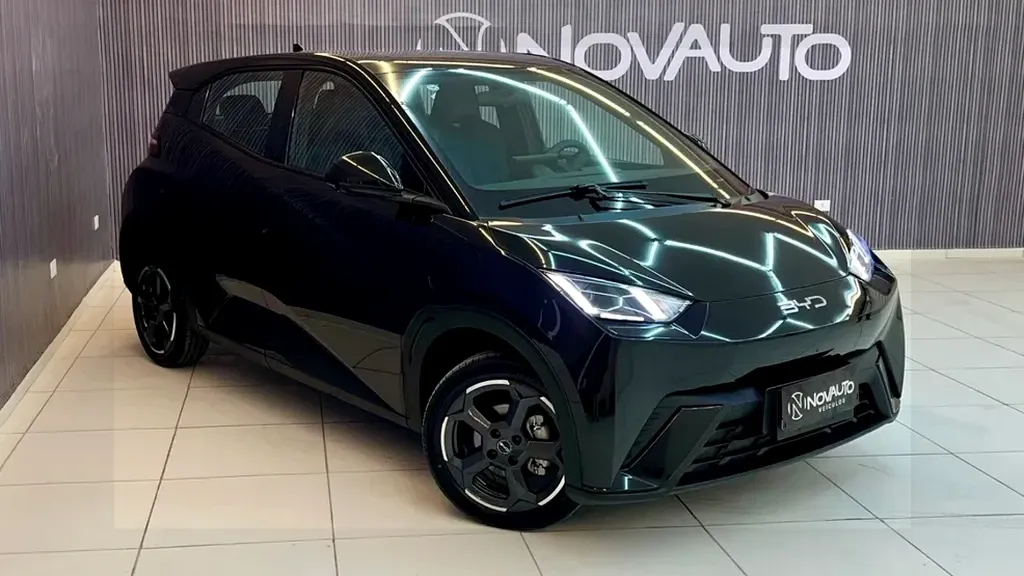 Foto de um byd dolphin