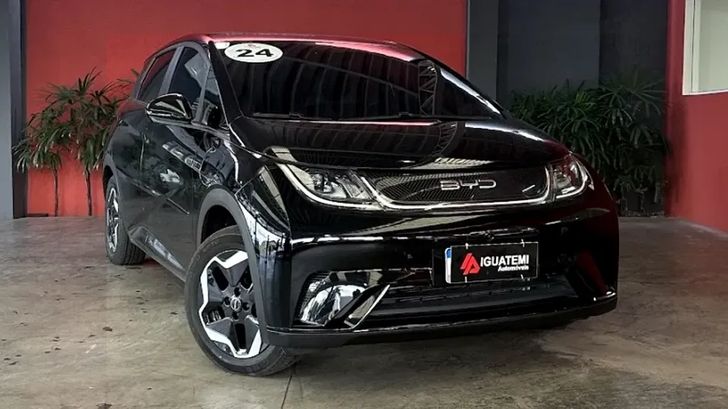 Foto de um byd dolphin
