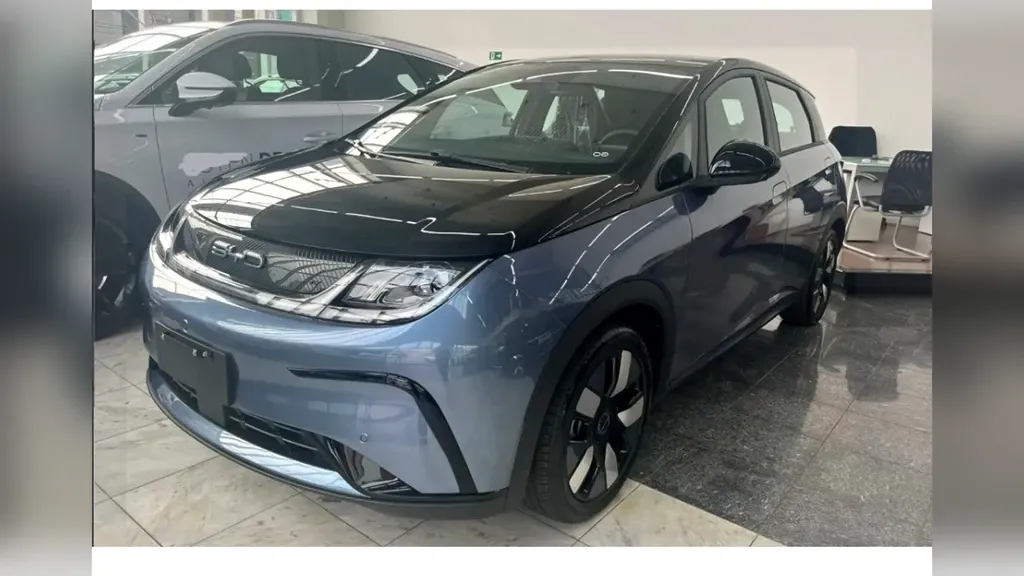Foto de um byd dolphin