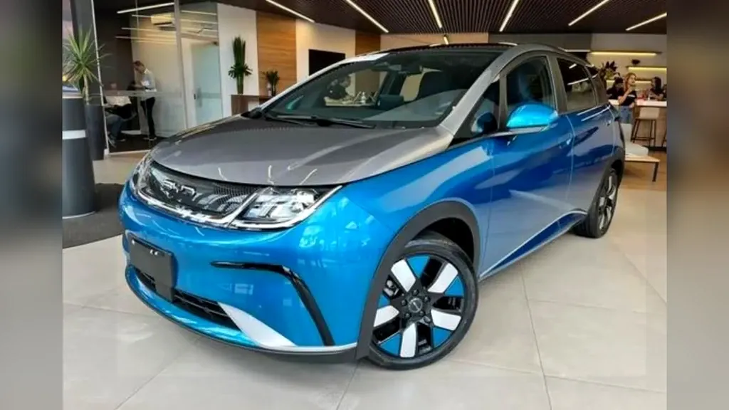 Foto de um byd dolphin