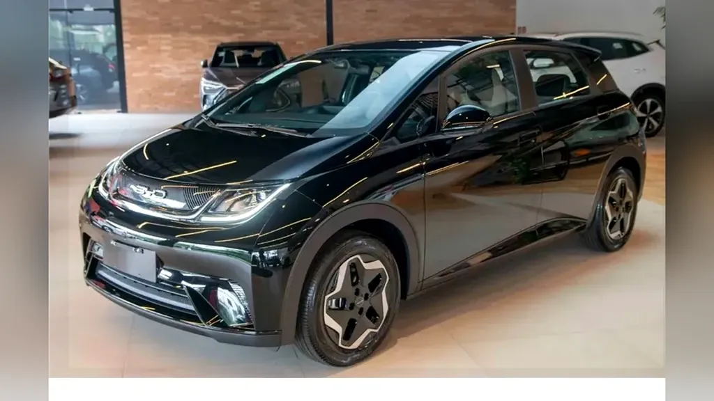 Foto de um byd dolphin