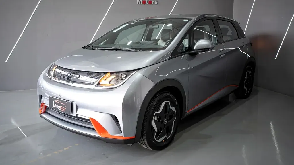 Foto de um byd dolphin