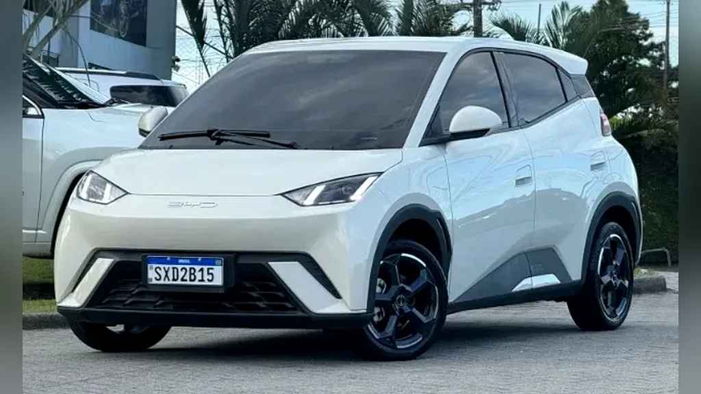 Foto de um byd dolphin