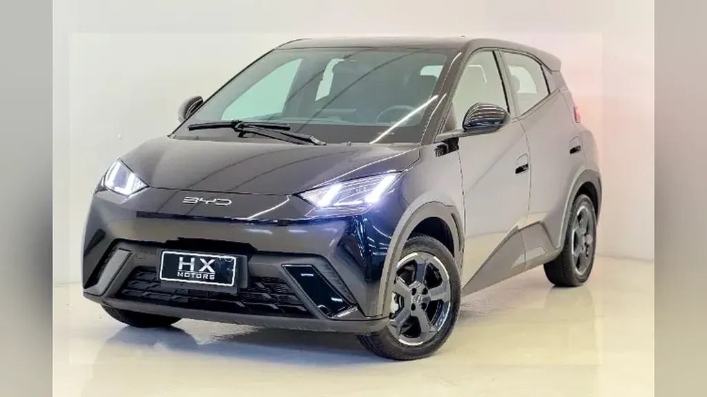 BYD Dolphin