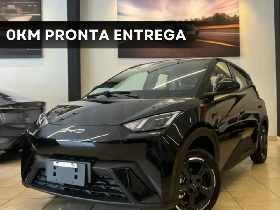 Foto de um byd dolphin