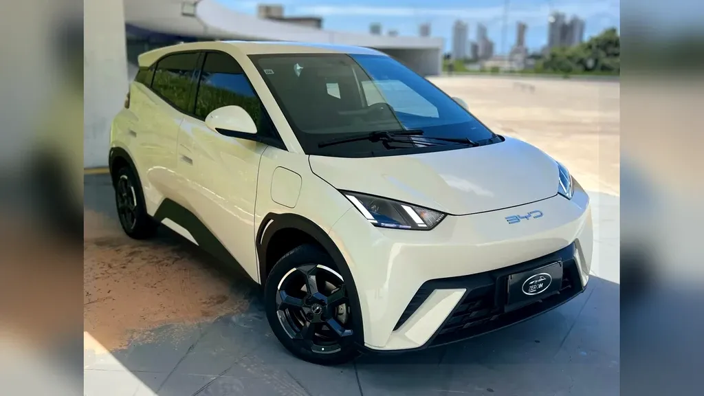 Foto de um byd dolphin