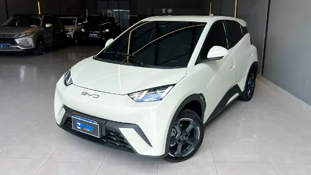 Foto de um byd dolphin