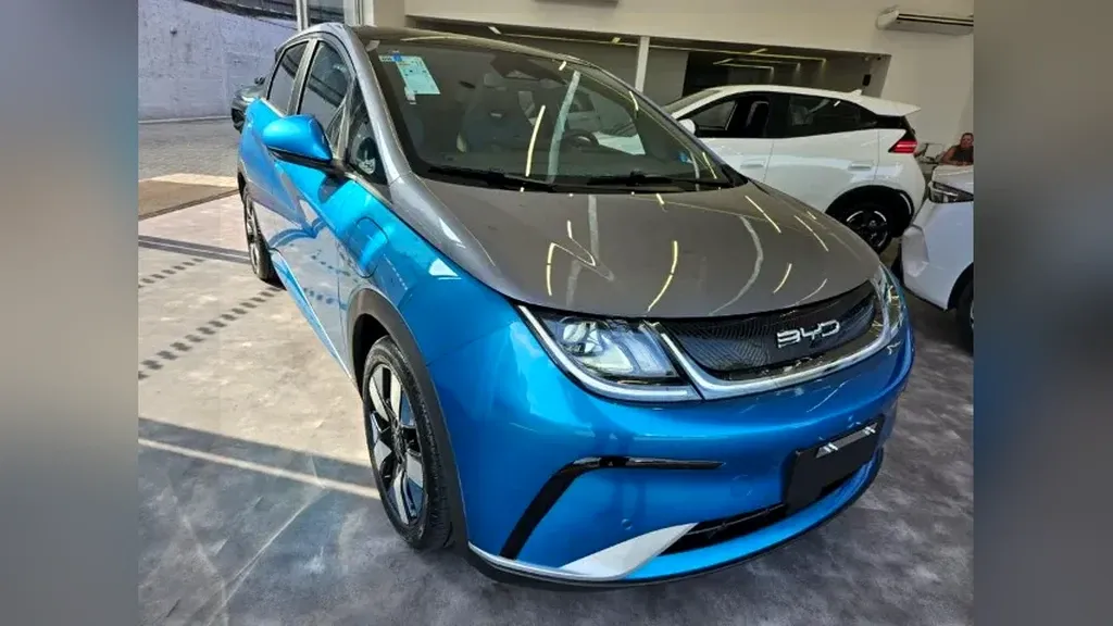 Foto de um byd dolphin