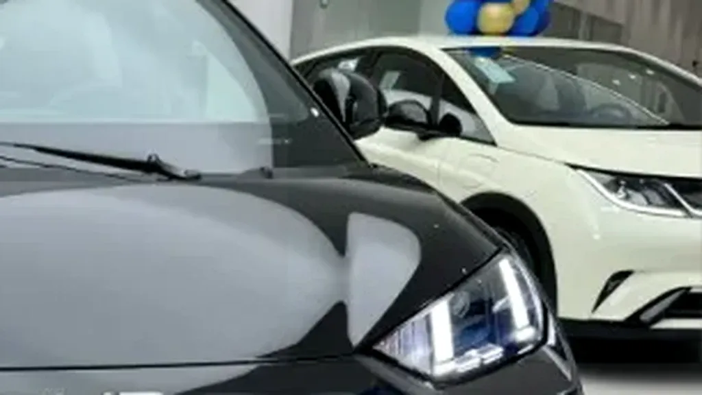 BYD Dolphin Mini