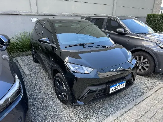 Foto de um byd dolphin