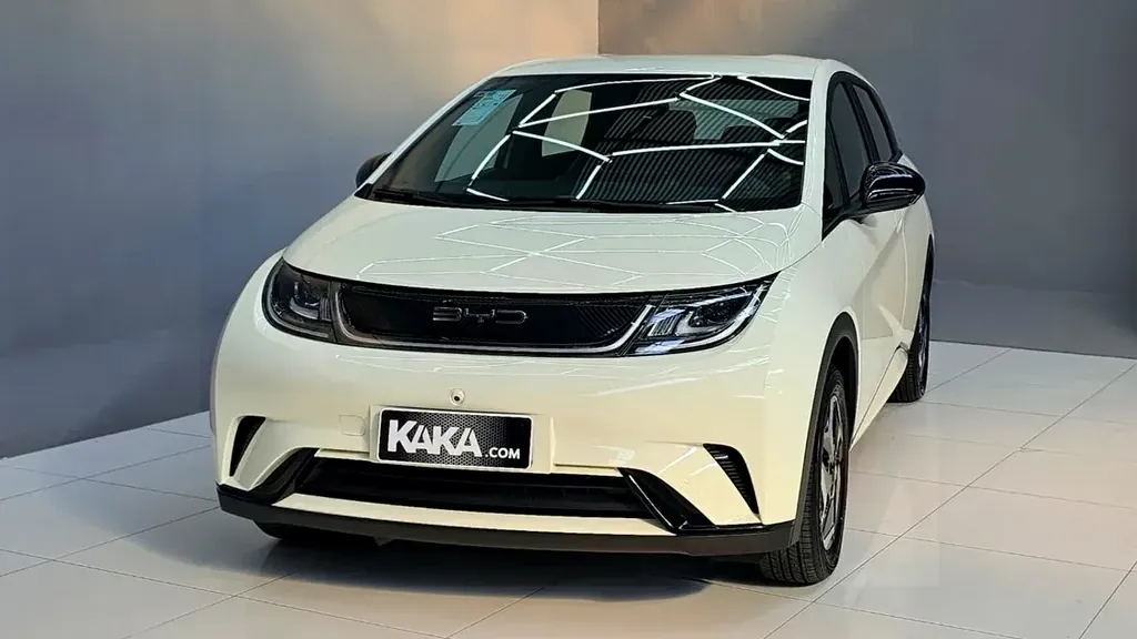 Foto de um byd dolphin